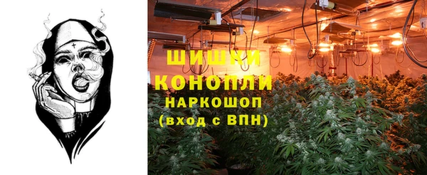 спайс Баксан