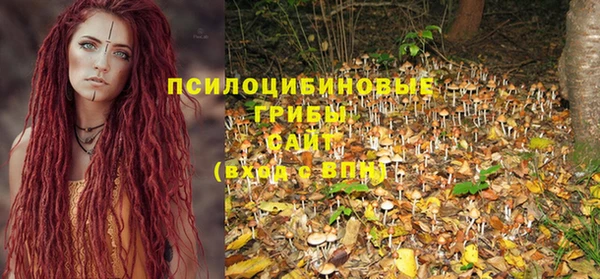 спайс Баксан