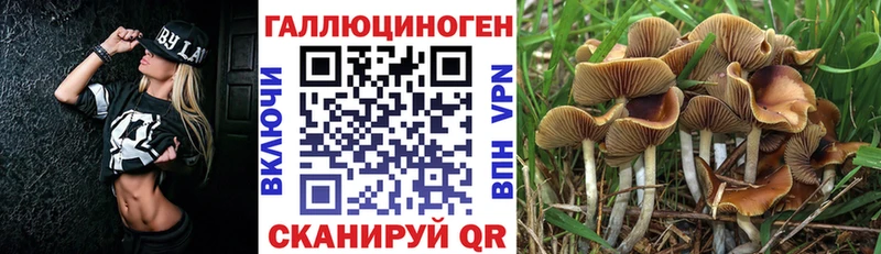 KRAKEN ссылка  darknet телеграм  Псилоцибиновые грибы Psilocybe  Олёкминск 